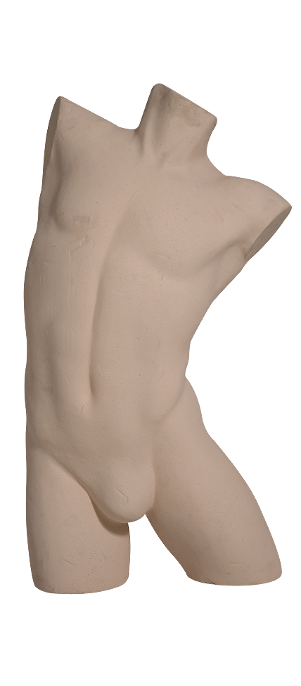 Polystyrene Torsos code 110-FM