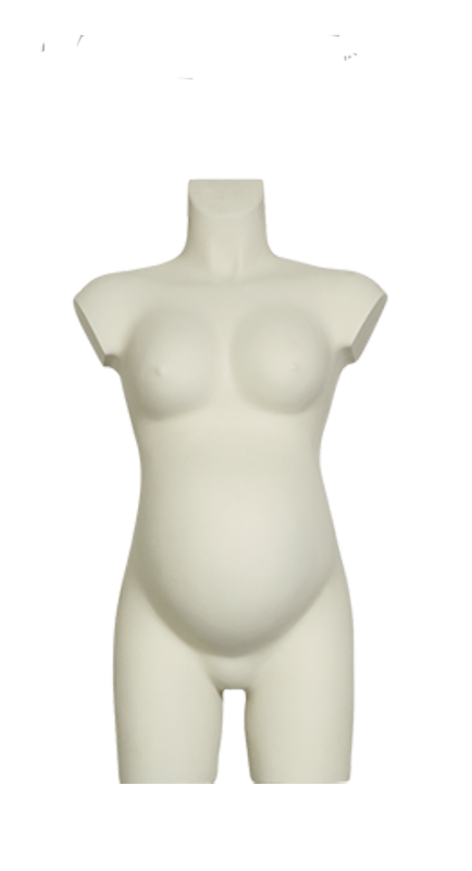 Torso without Base code 120-Pregnant