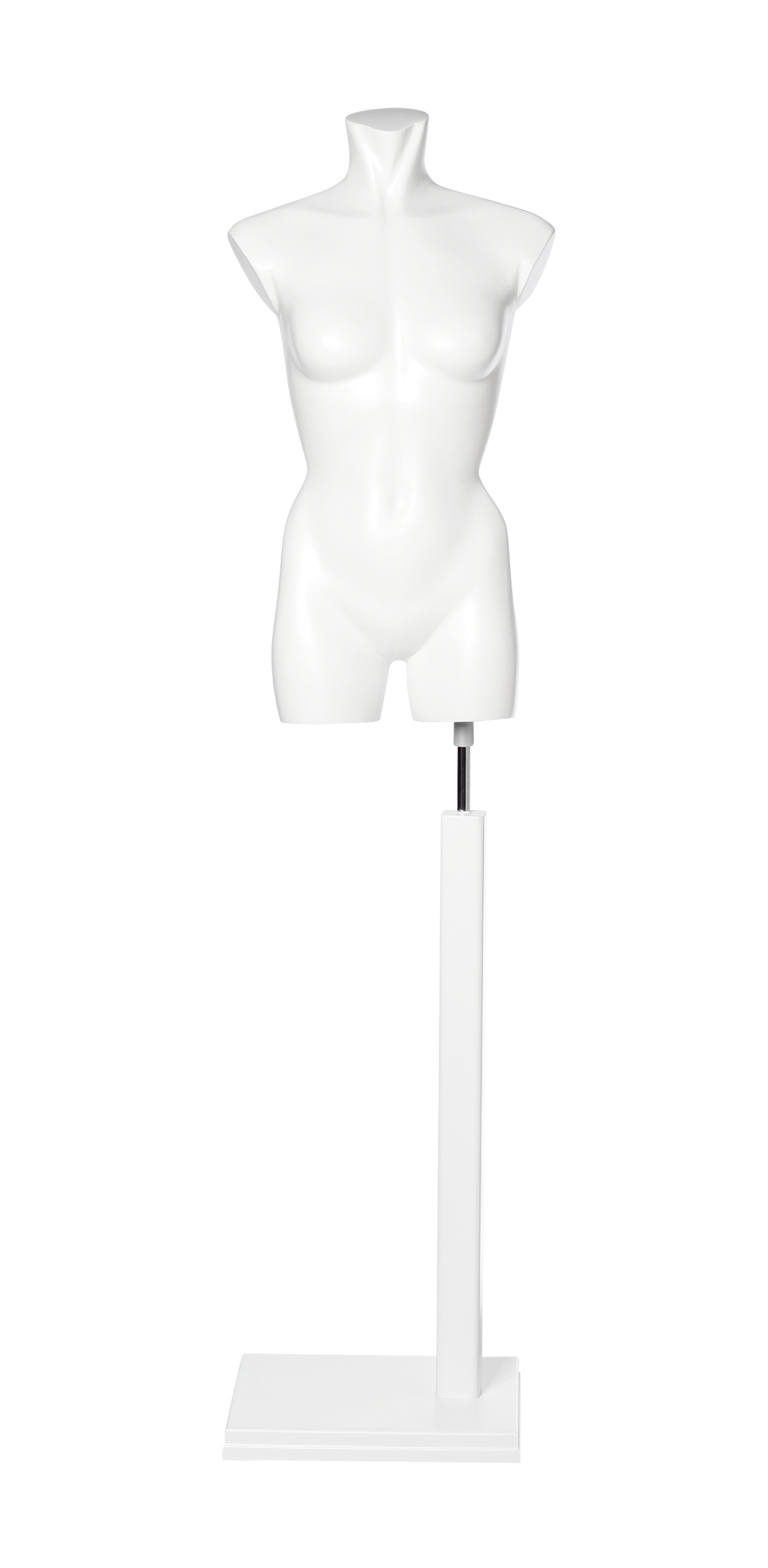 Torso with Base code 120-1